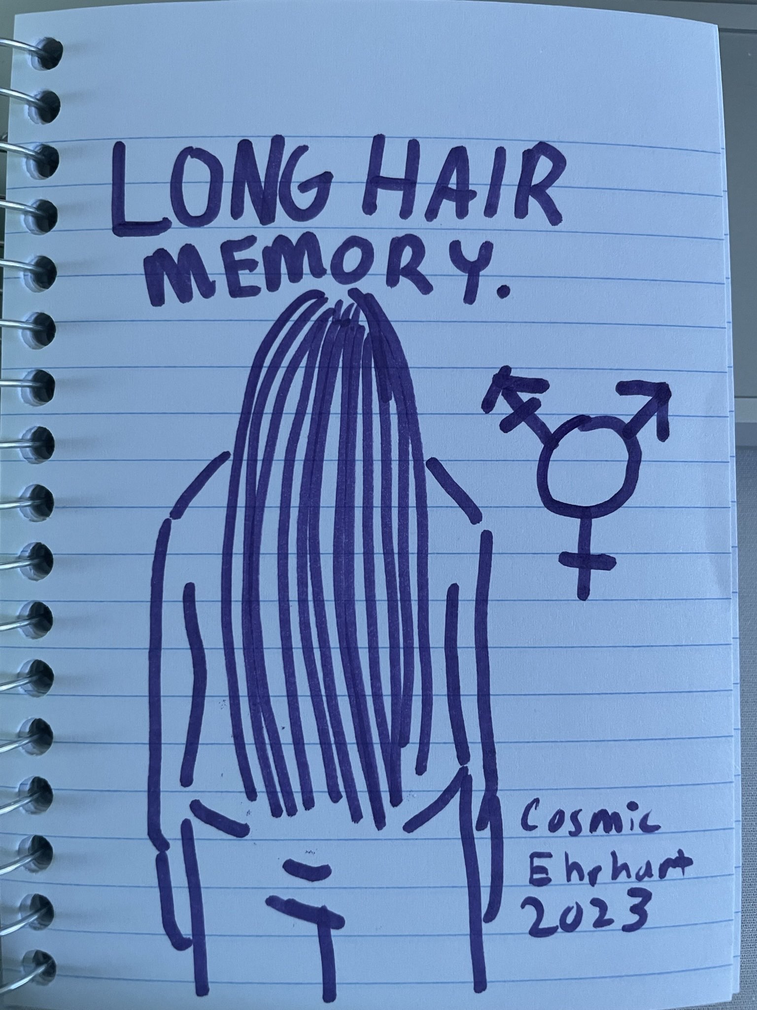 A drawing on notebook paper of a longhaired person standing. Their hair is straight and extends down past their midsection. Above them is the title of the zine: Long Hair Memory. Next to the title is the transgender symbol, and Cosmic Ehrhart 2023.